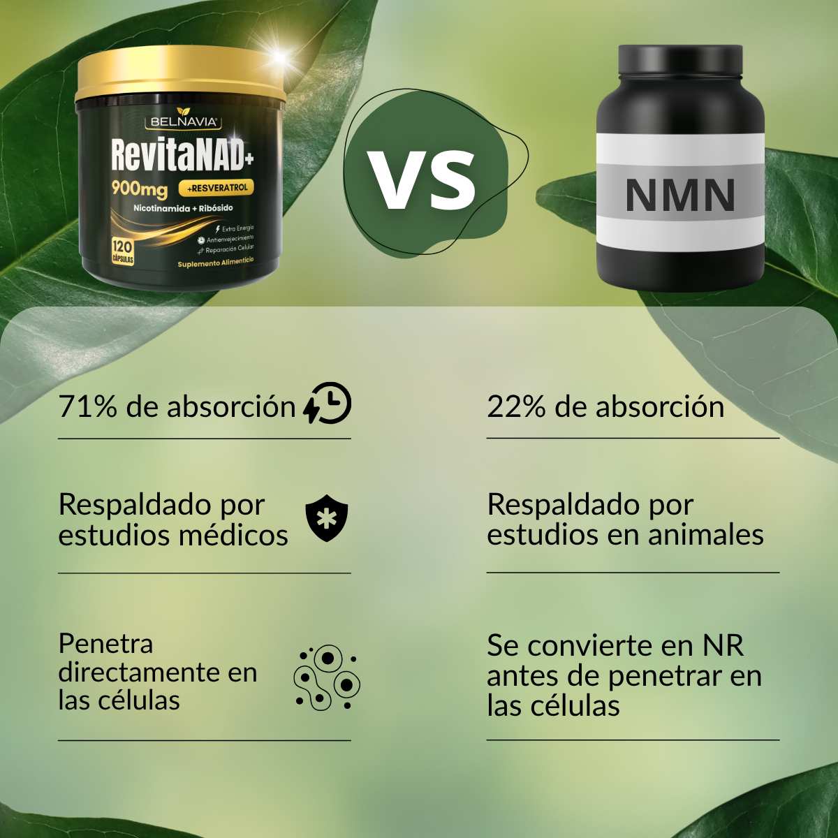 RevitaNAD™  Rejuvenecimiento, Vitalidad y Energía Celular