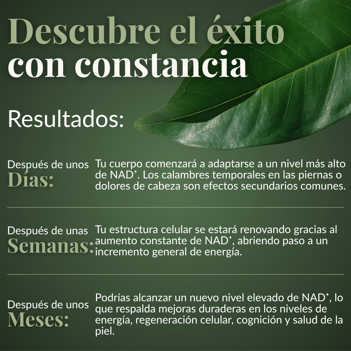 RevitaNAD™  Rejuvenecimiento, Vitalidad y Energía Celular
