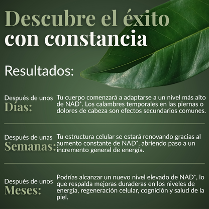 RevitaNAD™  Rejuvenecimiento, Vitalidad y Energía Celular