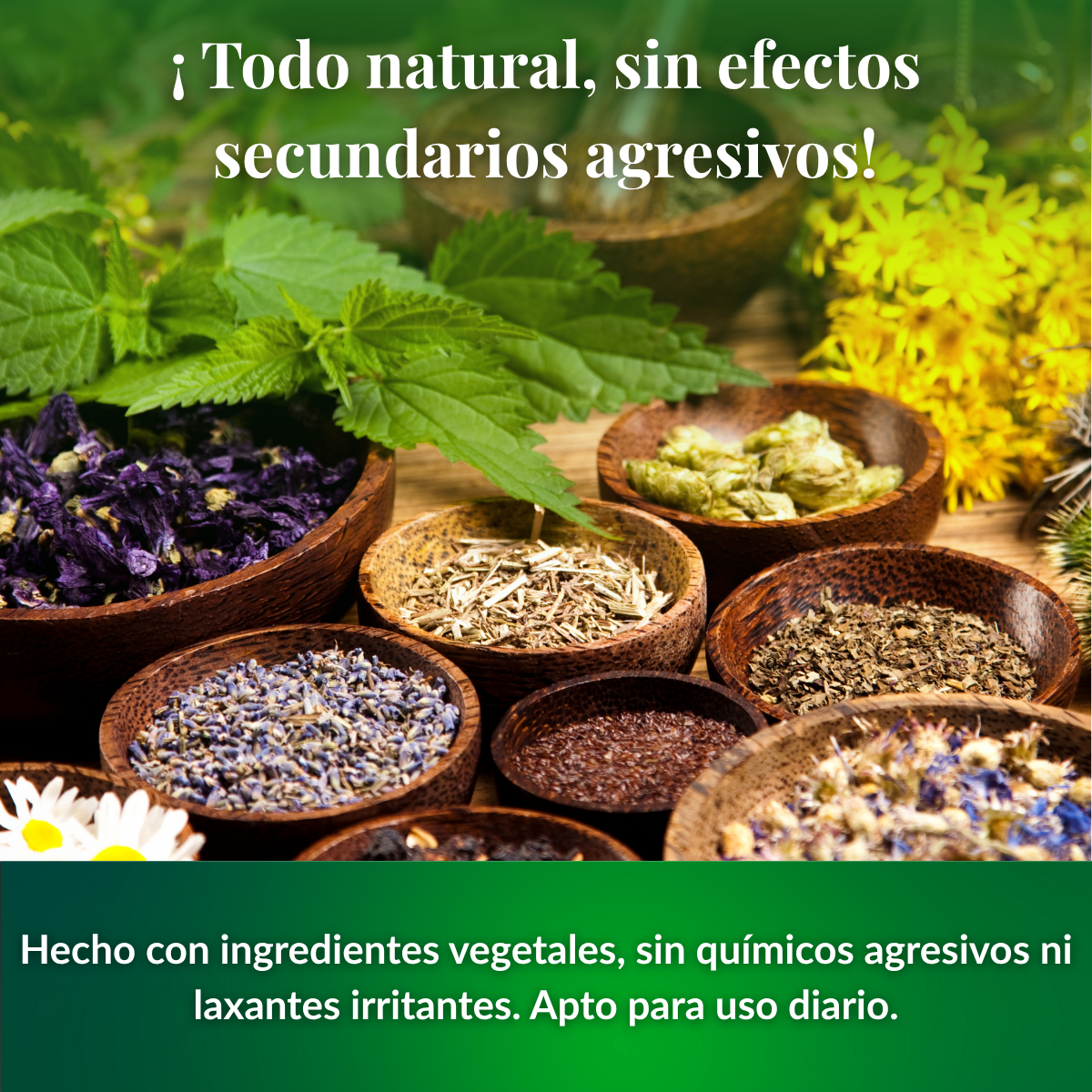 CleanFit™ Elimina las toxinas de tu cuerpo mientras quemas grasa