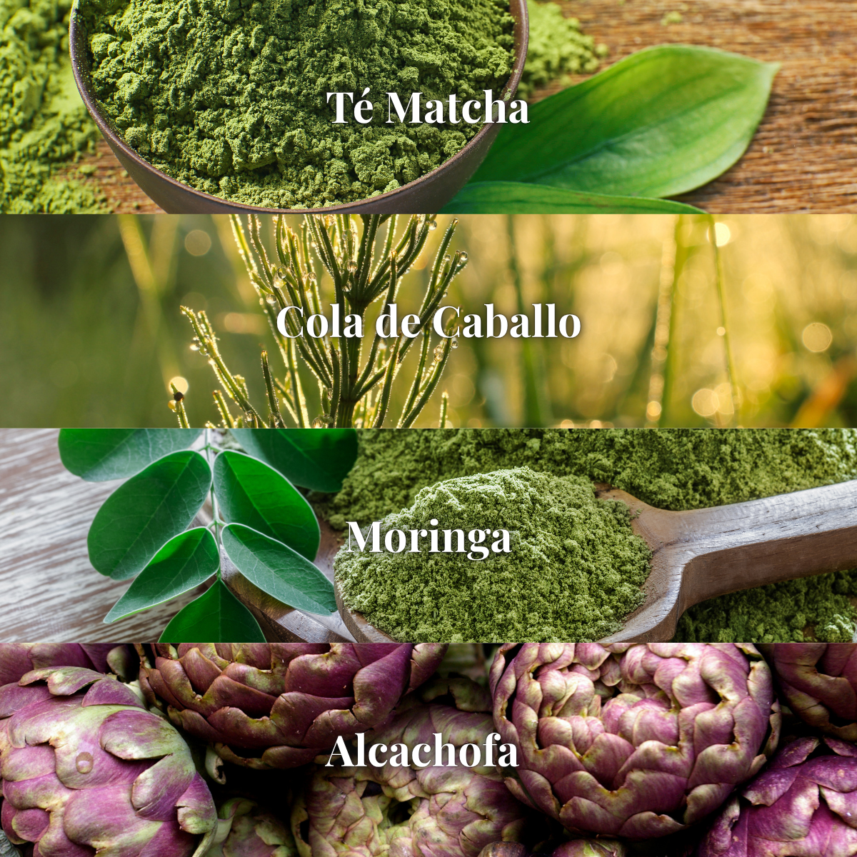 CleanFit™ Elimina las toxinas de tu cuerpo mientras quemas grasa