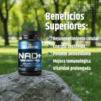 NAD+ Energía Celular y Antienvejecimiento